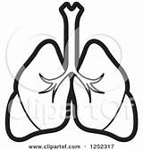 Lungs Clipart Illustration Outline Royalty Perera Lal Vector 2021 Clipground Poster Print Clipartof sketch template