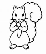Squirrel Coloring Pages Print Kids Clipart Activities Autumn Squirrels Clip Templates Cliparts Preschool Flying Cartoon Printable Easy Template Library Simple sketch template