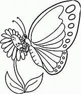 Coloring Monarch Butterfly Popular Pages sketch template