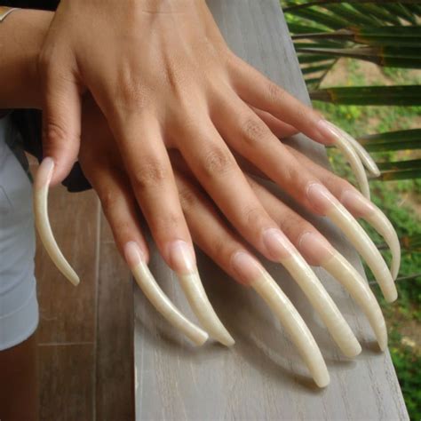 long natural nails curved nails exotic nails strong nails clean