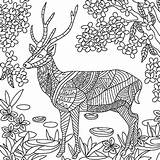 Coloring Pages Deer Colorfy Adults Colouring Mandala Adult Animal Mandalas Animals Color Book Print Choose Board Amazon Printable Apps People sketch template