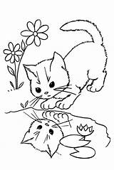 Kitten Coloring Pages Kittens Kids Wonder sketch template