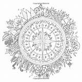Coloring Pages Forest Enchanted Adult Book Johanna Basford Colouring Books Drawing Adults Printable Amazon Mandala Coloriage Pdf Color Sheets Flower sketch template