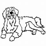 Coloriage Bernese Bouvier Bernois Berner Pages Ancenscp Clipartmag sketch template