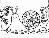 Coloring Pages Snail Rocks Choose Board Kids Snails sketch template