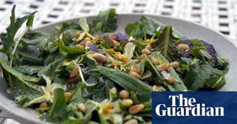 how to forage for a spring tonic seasonal salad food the guardian