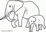 Hewan Mewarnai Sketsa Gajah Binatang Mysha Darat sketch template