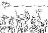 Unterwasserwelt Kinderbilder Shaya Malvorlagen sketch template