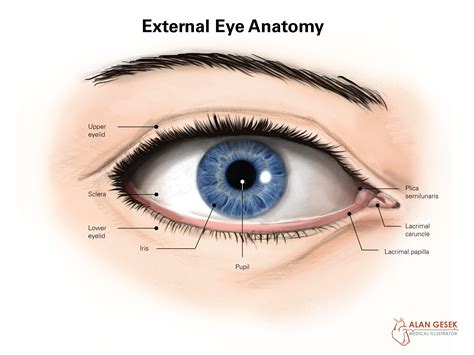 simple foreign body removal   eye  book  oi