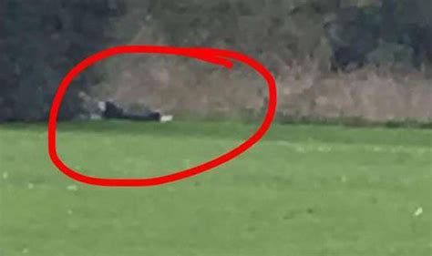 Spotted X Rated Couple Caught Having Sex During Day In Kent Beside