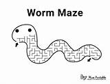 Maze Worm Mazes Printable Animal Museprintables sketch template