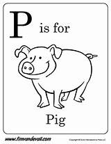 Pig Letter Timvandevall sketch template