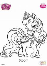 Palace Pets Coloring Pages Disney Princess Bloom Coloriage Template Printable Choose Board sketch template