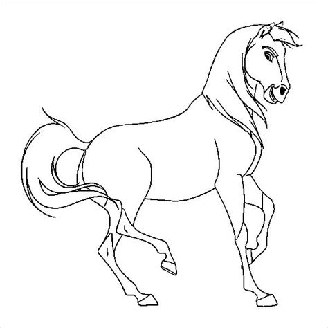 stallion horse coloring pages coloring book  coloring pages