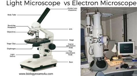 difference  light microscope  electron microscope light microscope  electron