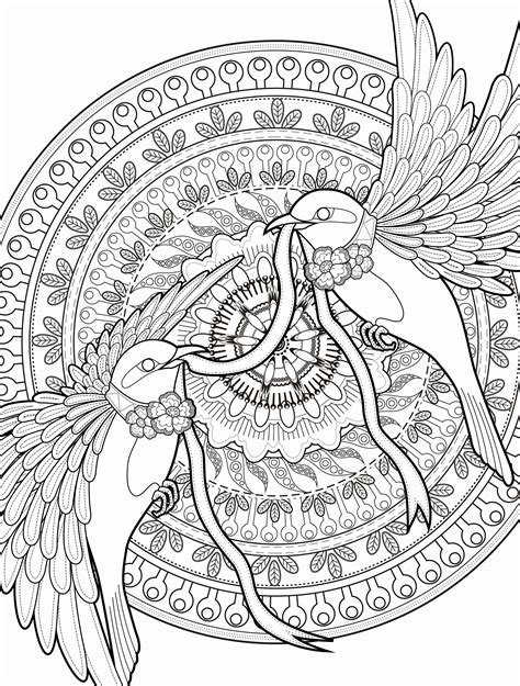 adult coloring pages   getcolorings  printable