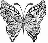 Schmetterling Erwachsene Coloring4free Bestcoloringpagesforkids Butterflies Ausdrucken Malvorlagentv sketch template