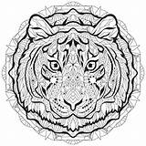 Tigre Zentangle Tête Libres Coloration Dessinée Vectorielle Décorative sketch template