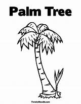 Tree Coloring Palm Pages Leaves Kids Trees Printable Color Popular Getcolorings sketch template