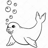 Foca Seal Phoque Kolorowanki Cucciolo Fototapeta Foka Nuotate Sveglie Poche Coloritura Bains Bébé Mignons Petits Coloration St2 Verbnow Bambino Informacje sketch template