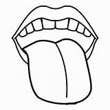 Coloring Mouth Pages Preschool Popular sketch template