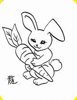 Coloring Bunny Kids Classes Baby Pages Sketches Kid Bunnies Requests Common Drawings During Drawing Summer Also sketch template