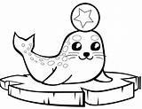 Phoque Banquise Robben Seals Animaux Imprimer Foca Mignon Ghiaccio Walrus Eisscholle Otters Floe Galapagos Piccolo sketch template