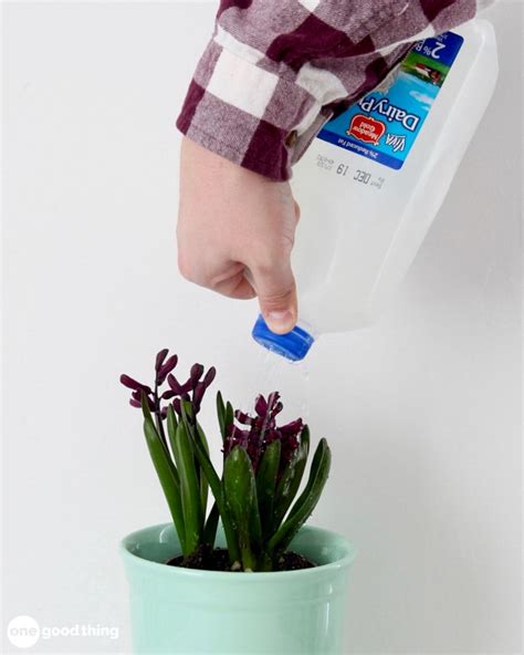 13 of the most creative and useful gardening hacks gardening tips