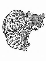 Racoon Raccoon Zentangle sketch template