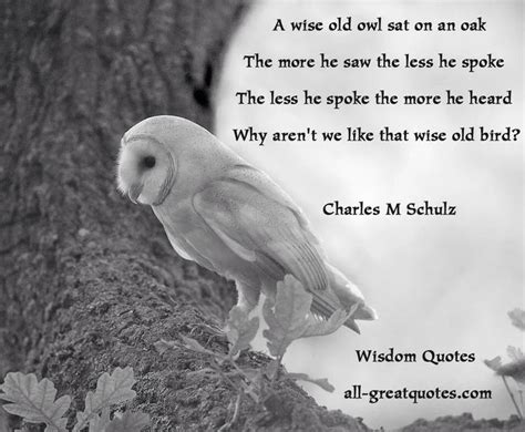 wise  owl wisdom quotes wise quotes  wise mans fear