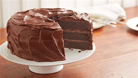 delicious  easy homemade chocolate cake recipe  chocolate