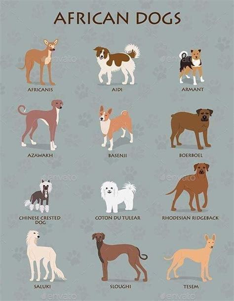 printable dog breed chart