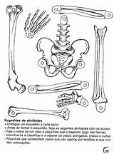 Humano Esqueleto Atividades Ossos Atividade Fundamental Ensino Esquelético Anatomia Artigo Onlinecursosgratuitos sketch template