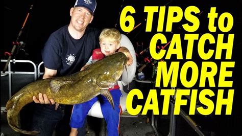 blog fishing hobby   catch catfish catfish catfish fishing
