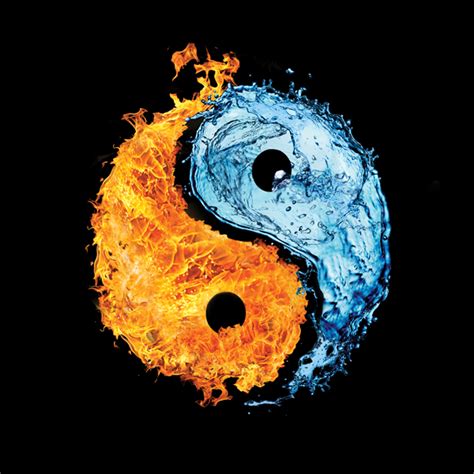 spiritual symbols    yin  gostica