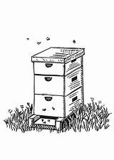 Beehive Box Coloring Shaped Netart Pages Print sketch template