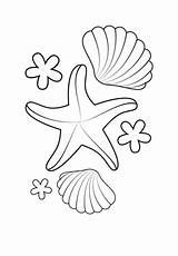 Starfish Printable Coloring Shell Shells Supercoloring Category Pages Crafts sketch template