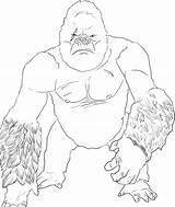 Kong King Coloring Pages Designlooter Drawings Az 13kb sketch template