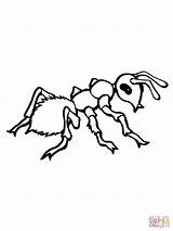 Ant Coloring Pages Drawing Realistic Printable Ants Colouring Cartoon Clipart Supercoloring Line Cutter Leaf Color Cherry Fire Picnic Library Crafts sketch template