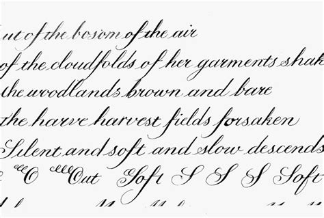hand copperplate calligraphy calligraphy tutorial calligraphy