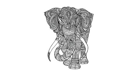 coloring pages  elephants  adults  elephant coloring pages