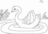 Ugly Duckling Coloring Drawing Pages Colouring Popular Getdrawings Coloringhome sketch template