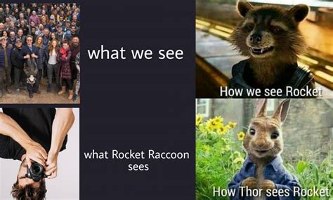 20 Memes On Rocket Racoon Vs Other Avengers