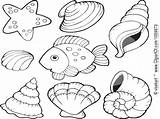 Conch Shell Getdrawings Drawing Sea sketch template