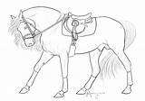 Horse Tack Coloring Comments sketch template