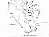 Coloring Pages Terrier Cairn Getcolorings sketch template