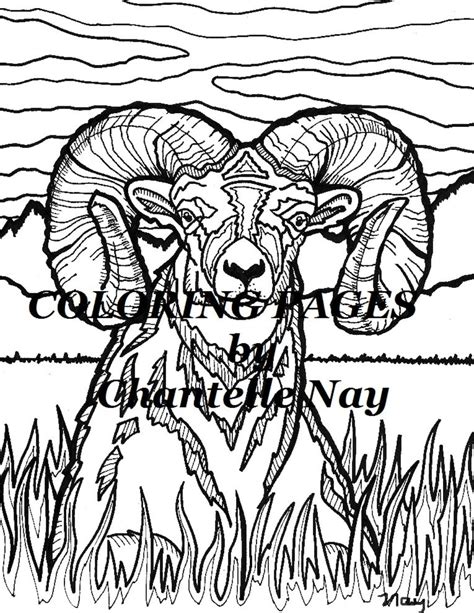 bighorn sheep coloring page adult coloring picture animals etsy