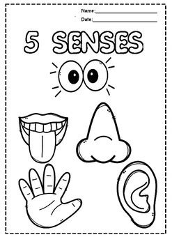 printable  senses coloring book  kids  senses coloring pages