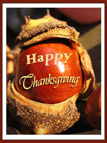 happy thanksgiving   horse chestnut  happy thanksgiving ecards