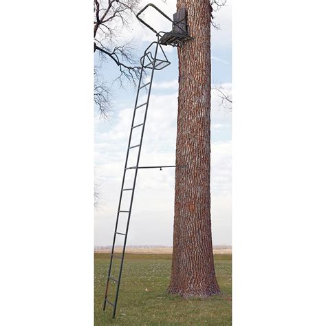 guide gear  deluxe ladder tree stand  ladder tree stands